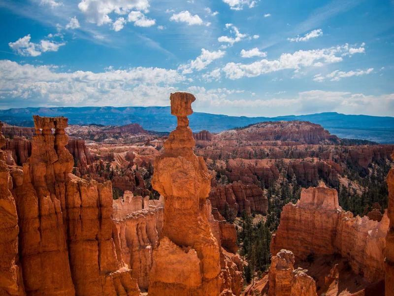 sudoku solver screenshot 5