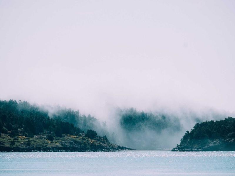 feedback screenshot 3